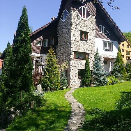 Pension Casa Contelui Рышнов Экстерьер фото