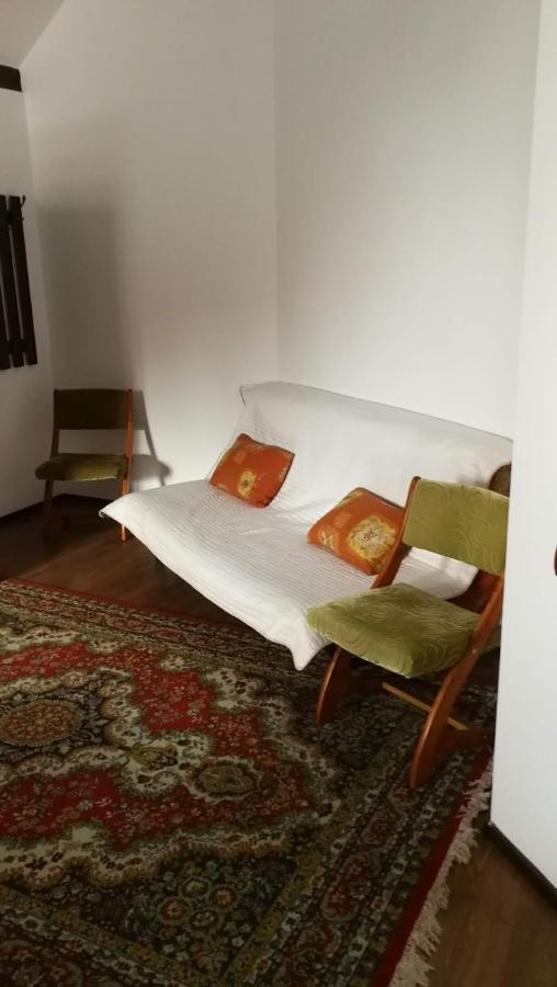 Pension Casa Contelui Рышнов Экстерьер фото