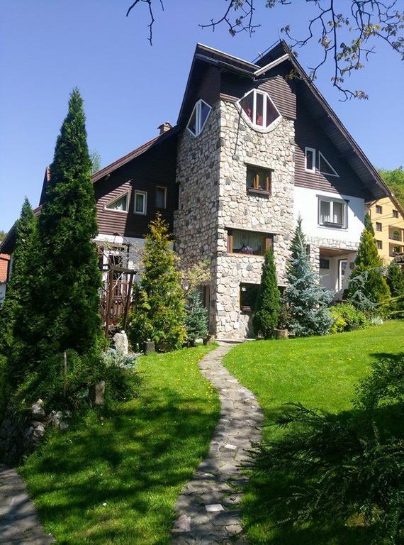 Pension Casa Contelui Рышнов Экстерьер фото