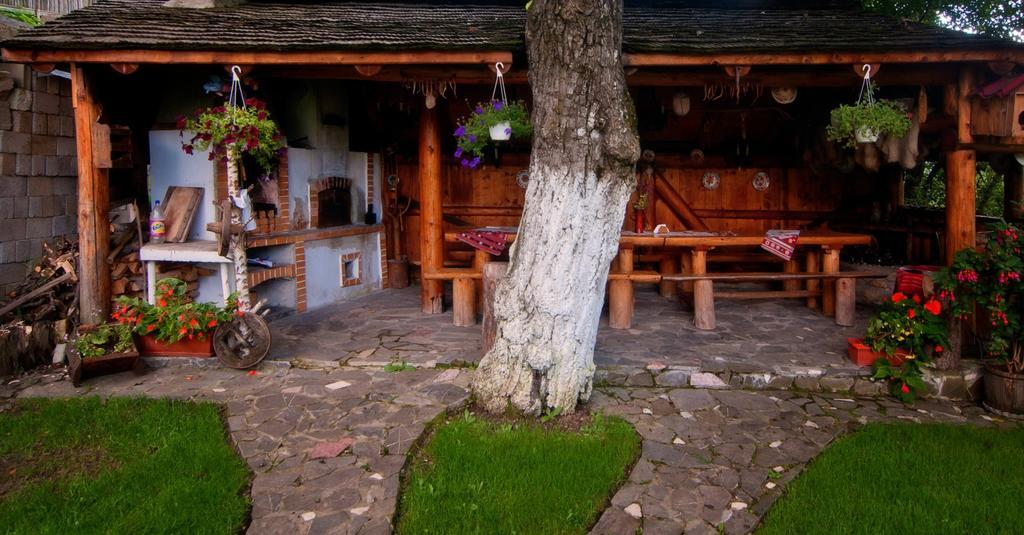 Pension Casa Contelui Рышнов Экстерьер фото