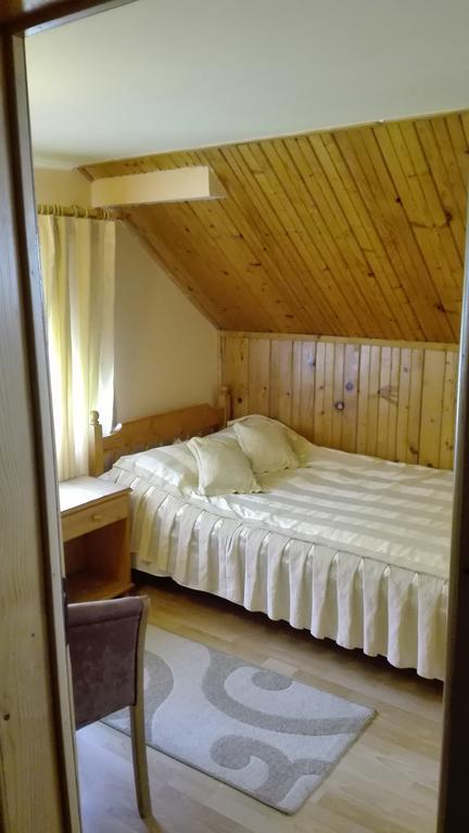 Pension Casa Contelui Рышнов Экстерьер фото