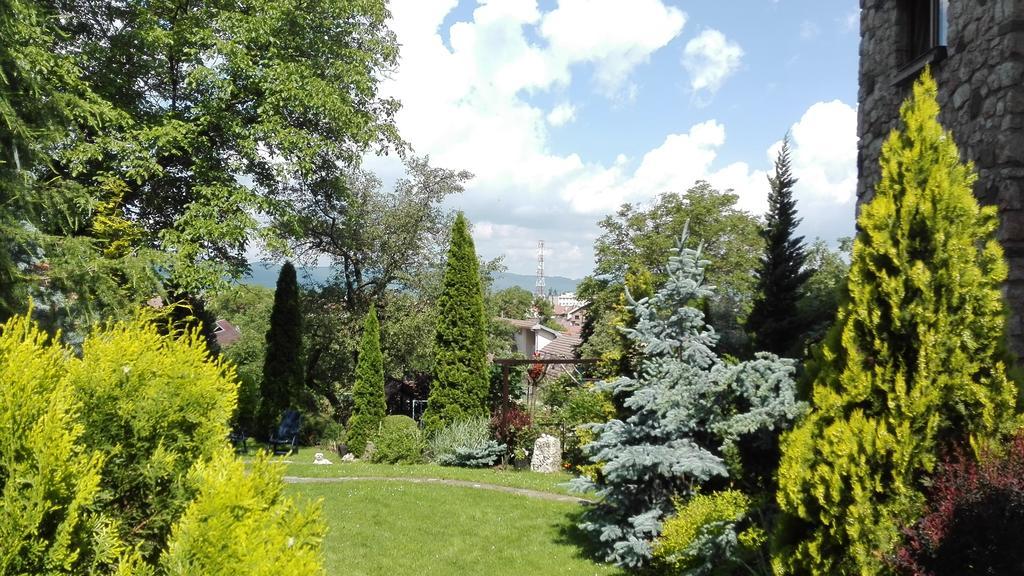 Pension Casa Contelui Рышнов Экстерьер фото