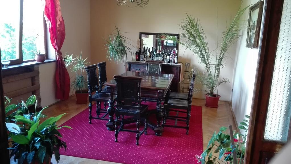 Pension Casa Contelui Рышнов Экстерьер фото