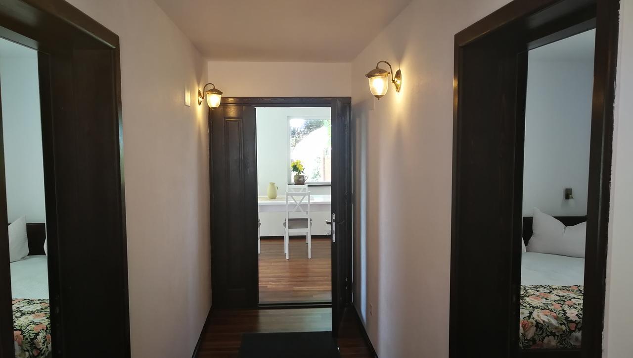 Pension Casa Contelui Рышнов Экстерьер фото