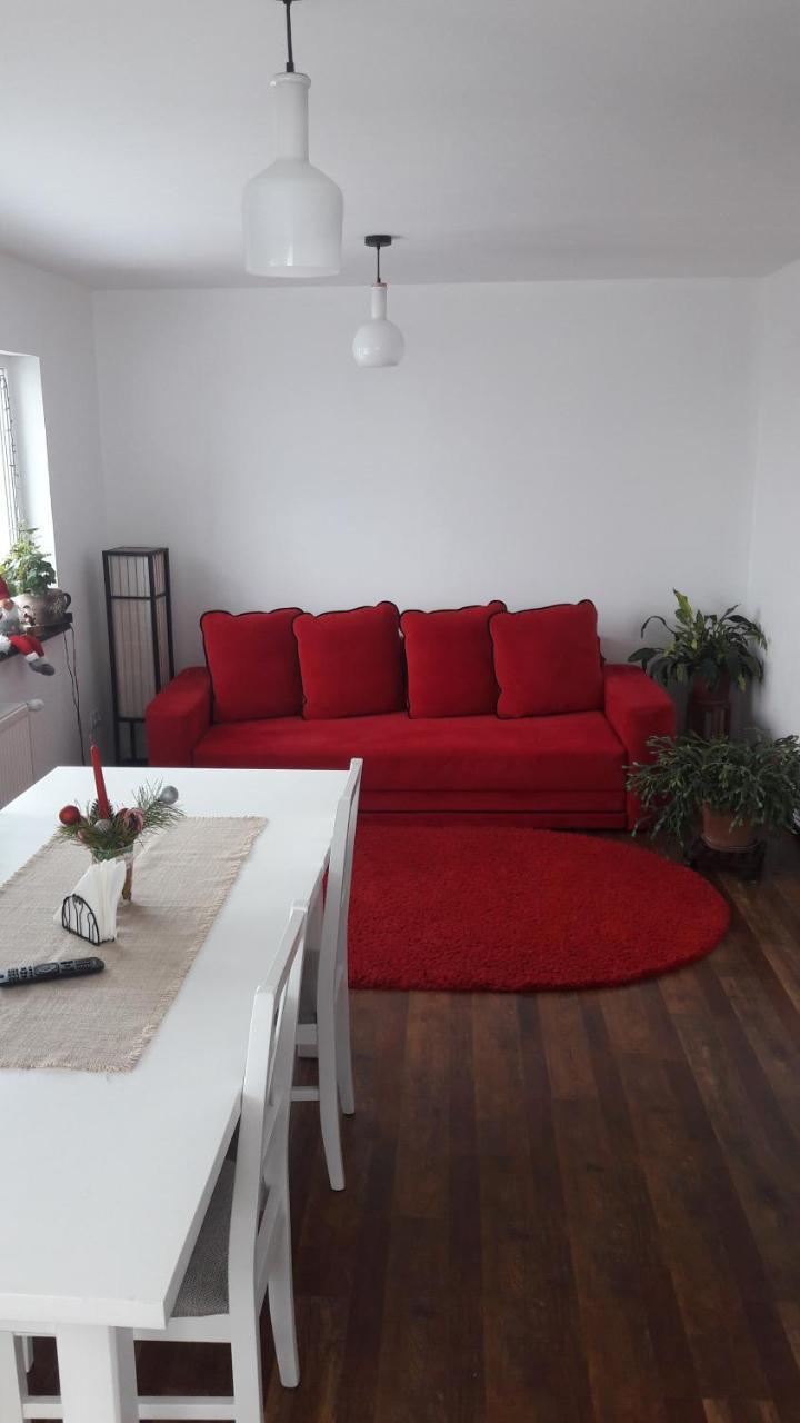 Pension Casa Contelui Рышнов Экстерьер фото