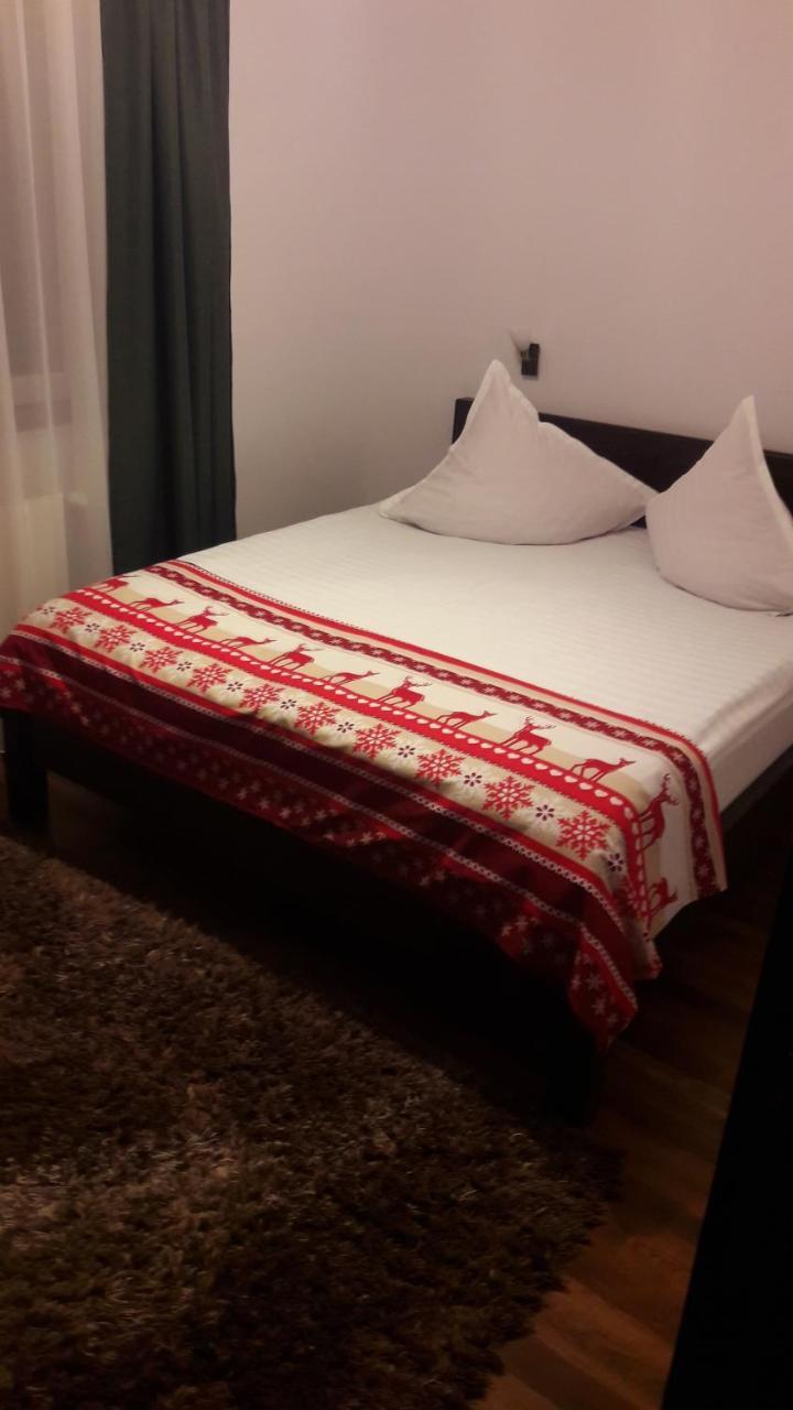 Pension Casa Contelui Рышнов Экстерьер фото